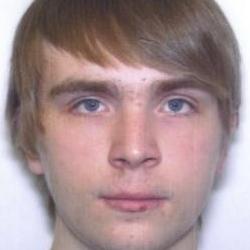 Mr Alexander  Avramenko